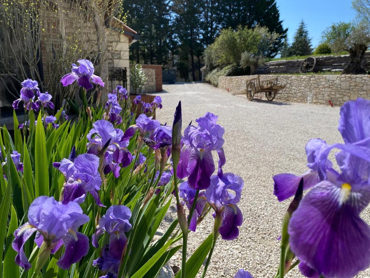 Le Relais De Campagne Bed & Breakfast Trejouls Exterior photo